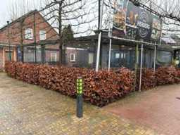 Online veiling Bedrijfsbeëindiging  Cafe, Zaal, Brasserie in D'n Herberg te Someren