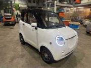 Online auction Brommobielen, kunstbomen en planten, gevelbekleding, bloempotten, trampolines