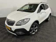 Online auction Dealeroccasions - personen- en bedrijfswagens in Wekerom