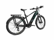 Online veiling Electrische fietsen
