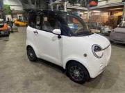 Vente aux enchères en ligne Elektrische stadsauto’s, kunstbomen en planten, composiet gevelbekleding en akoestische wandpanelen