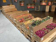 Vente aux enchères en ligne Faillissement Paardekooper B.V. | Venlo (1/2)