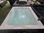 Online auction Jacuzzi´s, sauna´s, ijsbaden, wastafels en horeca materiaal