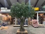 Online-Versteigerung Kunstbomen en kunstplanten, composiet buiten gevelbekleding, akoestische binnen panelen, pergola’s en zijde bloemen in pot