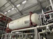 Online veiling PET recycling installatie voor vervaardiging van BHET  wegens faillissement Ioniqa