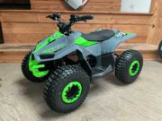 Online veiling Quads en minibikes wegens stopzetting bedrijfsactiviteiten