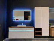 Online veiling Sanitair en badkamermeubilair