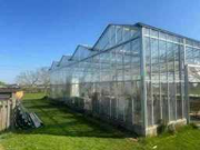 Online auction Staalconstructies, Isolatiemateriaal, koelcellen en kassen