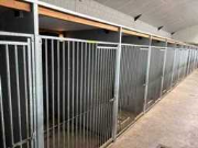 Online auction Staalconstructies, staal profiel, Koelcellen, isolatie materiaal en honden kennels