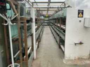 Online auction Startpagina