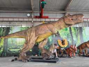 Online veiling Tinyhouse, containers, opslagtenten, cross voertuigen en gereedschappen