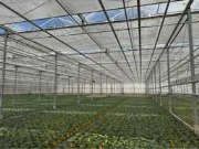 Online auction Tuinbouwbedrijf, koelcellen, installaties, aluminium kozijnen, composiet, hout en stamdelen