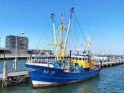 Online auction Verzamelveiling van mobiliteit, transport en logistiek