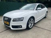 Online auction Voertuigen, heftruck, zwembaden, duurzame Bamboe producten, verf, tuin- en parkmachines, party tenten