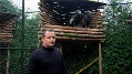 Astense vogelhouder koopt failliete papegaaienpark Veldhoven