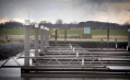 Bankroet jachthaven Schiermonnikoog