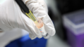 Bio-verzekeraar Immunobank failliet
