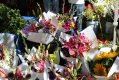 Bloemenhoek failliet verklaard
