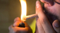 Coffeeshops Haarlem vrezen faillissement door wietpas