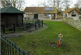 Doorstart voor dierenweide Rusthout dichterbij
