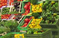 ‘Faillissement bio-supermarkt Dynamiek’