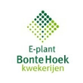 Faillissement Bonte Hoek lijkt op zichzelf te staan