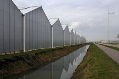 Glastuinder Schouten in Bergerden failliet