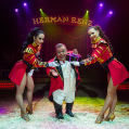 Laatste kunstje voor Circus Renz?