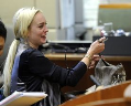 Lindsay Lohan is bankroet