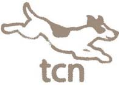 Projectontwikkelaar TCN zo goed als failliet