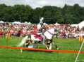 Ridderfeest in A'damse bos afgelast
