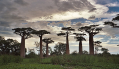 Terra Travel met Baobab en Summum Reizen failliet verklaard