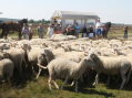 Veluws Bureau voor Toerisme failliet